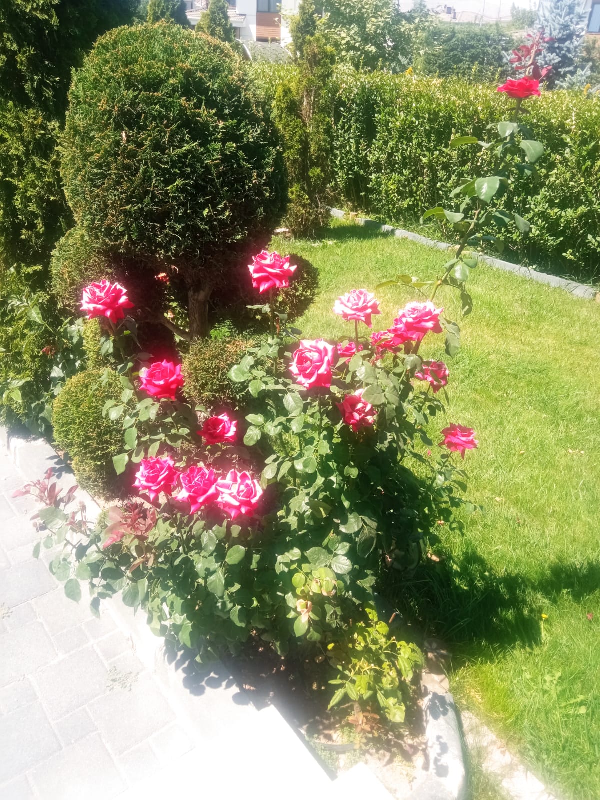 Kayseri bahçe uygulaması